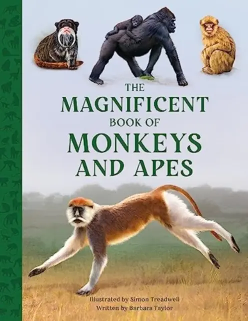 Le livre magnifique des singes et des singes - Magnificent Book of Monkeys and Apes