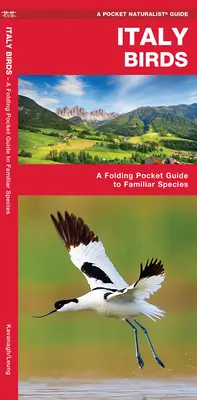 Oiseaux d'Italie - Un guide de poche pliant pour les espèces familières - Italy Birds - A Folding Pocket Guide to Familiar Species