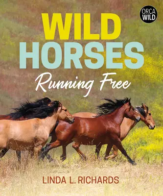 Wild Horses : Courir en liberté - Wild Horses: Running Free