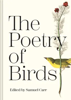 La poésie des oiseaux - The Poetry of Birds