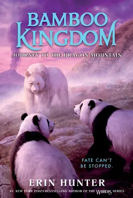 Bamboo Kingdom #3 : Voyage à la montagne du dragon - Bamboo Kingdom #3: Journey to the Dragon Mountain