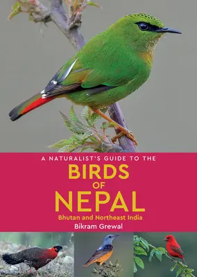 Guide naturaliste des oiseaux du Népal - A Naturalist's Guide to the Birds of Nepal