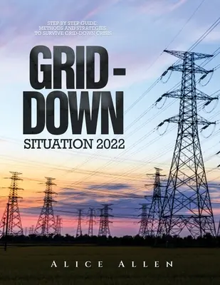 Grid-Down Situation 2022 : Step by Step Guide : Méthodes et stratégies pour survivre à la crise des pannes de courant - Grid-Down Situation 2022: Step by Step Guide: Methods and Strategies to Survive Grid-Down Crisis