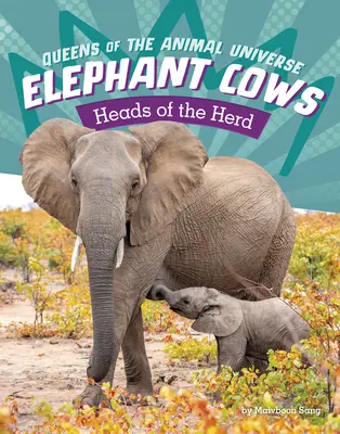 Les éléphants : Les têtes du troupeau - Elephant Cows: Heads of the Herd