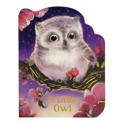 Un petit hibou - A Little Owl