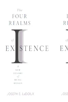 Les quatre domaines de l'existence : Une nouvelle théorie de l'être humain - The Four Realms of Existence: A New Theory of Being Human