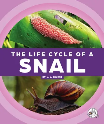 Le cycle de vie d'un escargot - The Life Cycle of a Snail