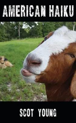 Haïku américain - American Haiku