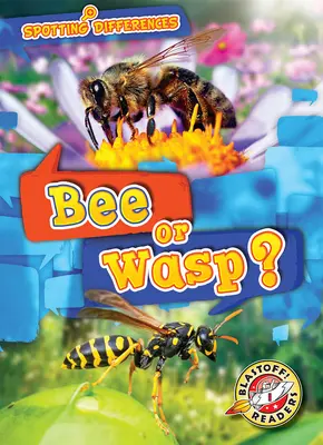 Abeille ou guêpe ? - Bee or Wasp?