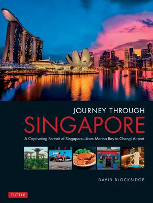 Voyage à Singapour : Un portrait captivant de Singapour - de Marina Bay à l'aéroport de Changi - Journey Through Singapore: A Captivating Portrait of Singapore - From Marina Bay to Changi Airport