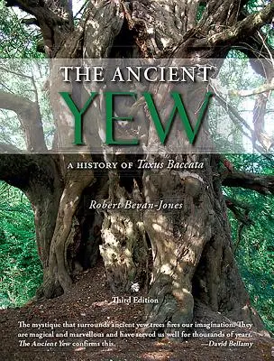 L'if ancien - Une histoire de Taxus Baccata - Ancient Yew - A History of Taxus Baccata