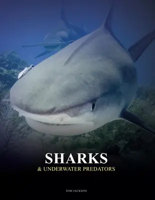 Requins et prédateurs sous-marins - Sharks & Underwater Predators