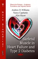 Les muscles squelettiques dans l'insuffisance cardiaque et le diabète de type 2 - Skeletal Muscle in Heart Failure & Type 2 Diabetes