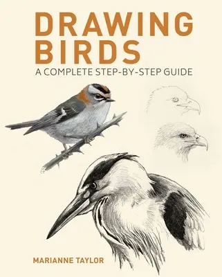 Dessiner des oiseaux : Un guide complet étape par étape - Drawing Birds: A Complete Step-By-Step Guide