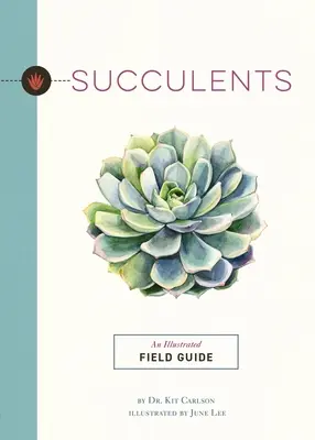 Succulentes : Un guide de terrain illustré - Succulents: An Illustrated Field Guide