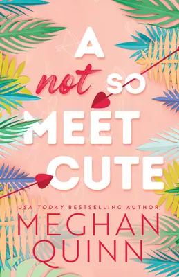 Une rencontre pas si mignonne - A Not So Meet Cute