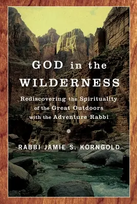 Dieu dans la nature : Redécouvrir la spiritualité des grands espaces avec le rabbin de l'aventure - God in the Wilderness: Rediscovering the Spirituality of the Great Outdoors with the Adventure Rabbi