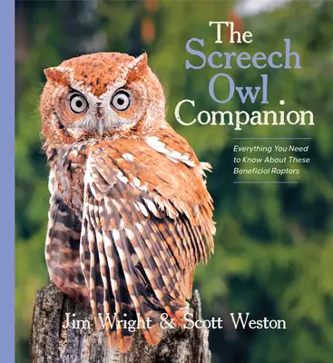 Le compagnon de la chouette effraie : Tout ce qu'il faut savoir sur ces rapaces bénéfiques - The Screech Owl Companion: Everything You Need to Know about These Beneficial Raptors