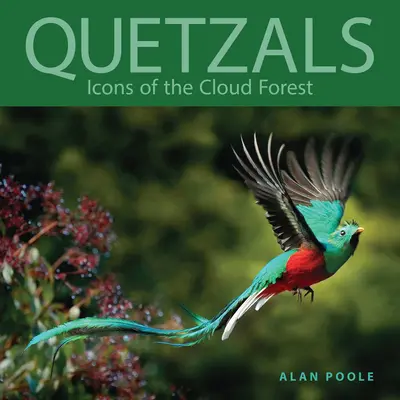 Les quetzals : Icônes de la forêt des nuages - Quetzals: Icons of the Cloud Forest