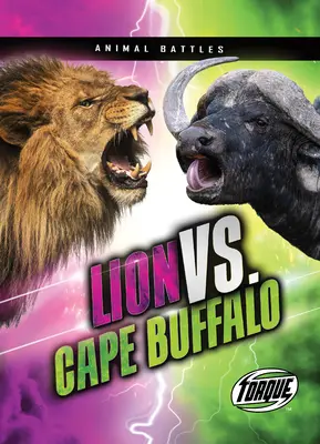 Lion contre buffle du Cap - Lion vs. Cape Buffalo