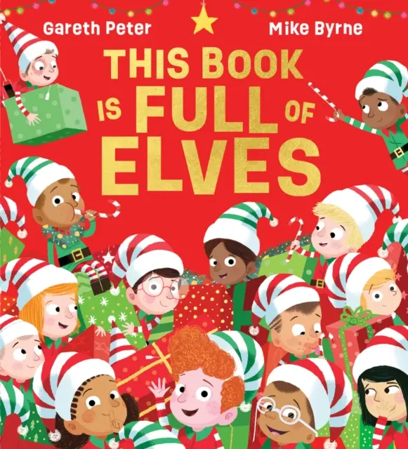 Ce livre est plein d'elfes (PB) - This Book is Full of Elves (PB)