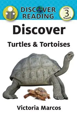 Découvrir les tortues - Discover Turtles & Tortoises