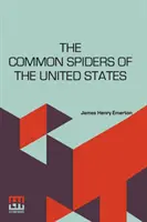 Les araignées communes des États-Unis - The Common Spiders Of The United States