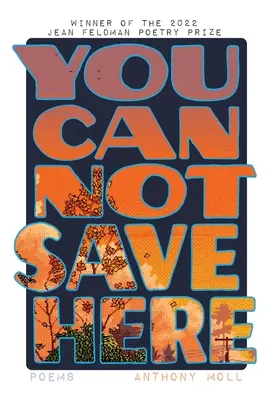 Vous ne pouvez pas sauver ici - You Cannot Save Here