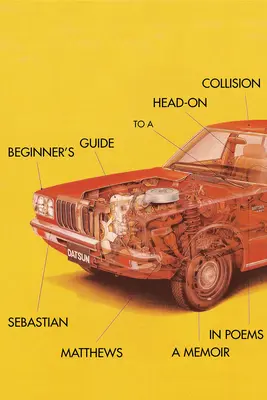 Guide du débutant en cas de collision frontale - Beginner's Guide to a Head-On Collision