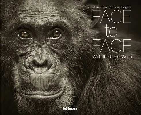 Face à face : Avec les grands singes - Face to Face: With the Great Apes