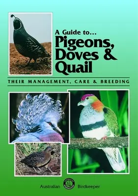 Guide des pigeons, colombes et cailles : Leur gestion, leurs soins et leur élevage - A Guide to Pigeons, Doves & Quail: Their Management, Care & Breeding