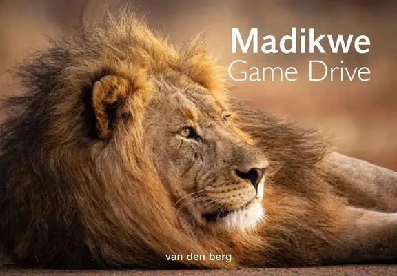 La chasse au gibier de Madikwe - Madikwe Game Drive