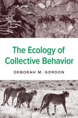 L'écologie des comportements collectifs - The Ecology of Collective Behavior