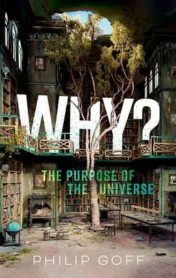 Pourquoi ? la raison d'être de l'univers - Why? the Purpose of the Universe