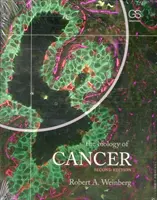 Biologie du cancer (Weinberg Robert A. (Massachusetts Institute of Technology)) - Biology of Cancer (Weinberg Robert A. (Massachusetts Institute of Technology))