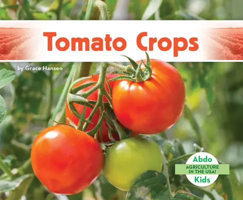 Cultures de tomates - Tomato Crops