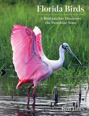 Les oiseaux de Floride : Un ornithologue à la découverte du Sunshine State - Florida Birds: A Birdwatcher Discovers the Sunshine State