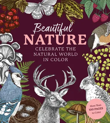 Livre de coloriage Beautiful Nature : Un livre de coloriage pour célébrer le monde naturel - Beautiful Nature Coloring Book: A Coloring Book to Celebrate the Natural World