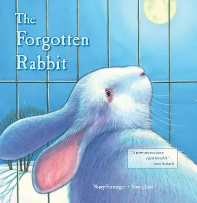 Le lapin oublié - The Forgotten Rabbit