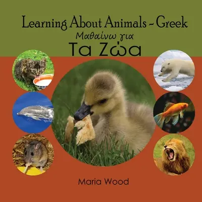 Apprendre à connaître les animaux - Grec - Learning About Animals- Greek