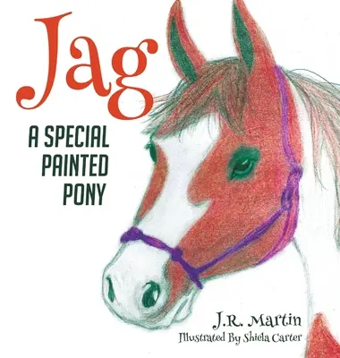 Jag : Un poney peint spécial - Jag: A Special Painted Pony