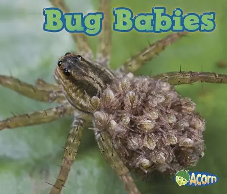 Bébés insectes - Bug Babies