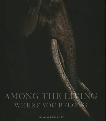 Parmi les vivants : Là où vous êtes - Among the Living: Where You Belong