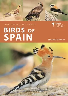 Oiseaux d'Espagne : Deuxième édition - Birds of Spain: Second Edition