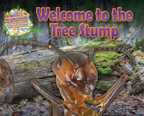 Bienvenue dans la souche d'un arbre - Welcome to the Tree Stump