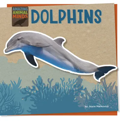 Dauphins - Dolphins