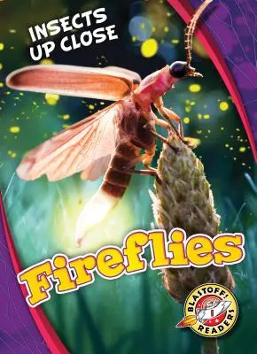 Les lucioles - Fireflies