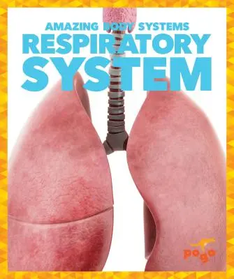 Système respiratoire - Respiratory System