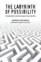 Le labyrinthe de la possibilité : Un facteur thérapeutique dans la pratique analytique - The Labyrinth of Possibility: A Therapeutic Factor in Analytical Practice