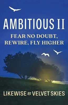 Ambitieux II : Ne pas douter, se remettre en selle, voler plus haut - Ambitious II: Fear No Doubt, Rewire, Fly Higher